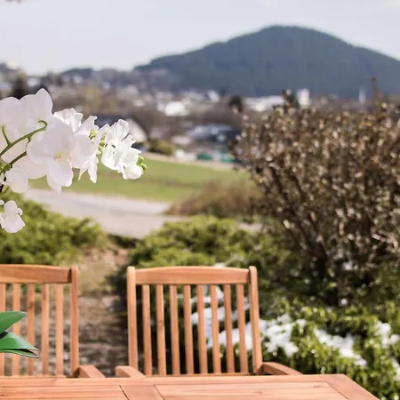 Xenos Appartement Willingen (Upland)