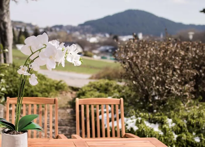 Xenos Apartment Willingen (Upland)